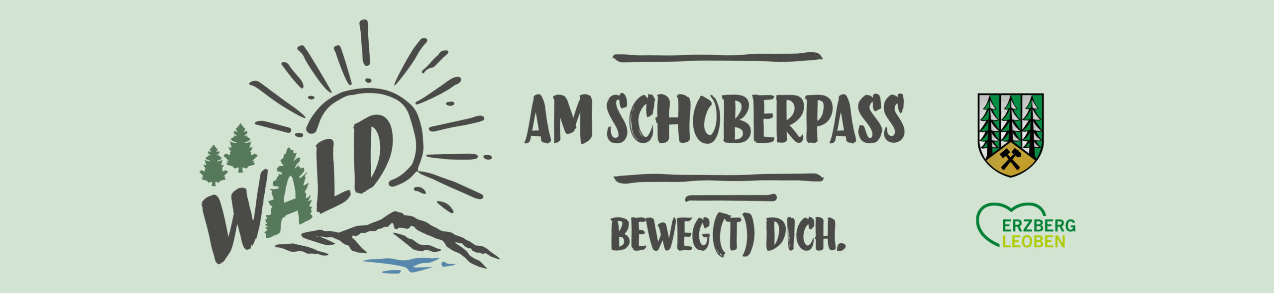 Wald am Schoperpass scaled